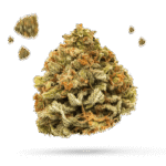 Chocolate Trip - Cannabissorte