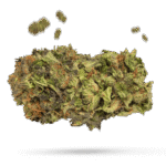 Chronic Thunder - Cannabissorte