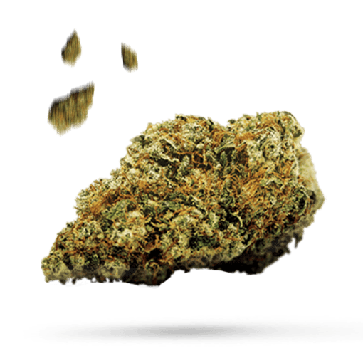Citradelic Sunset - Cannabissorte