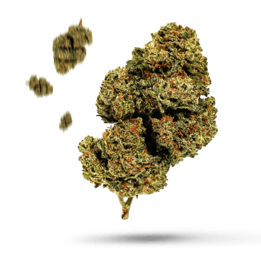 Citral Flo - Cannabissorte