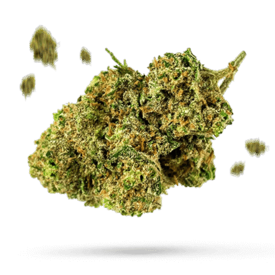 Cookies Kush - Cannabissorte
