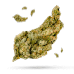 Euphoria - Cannabissorte