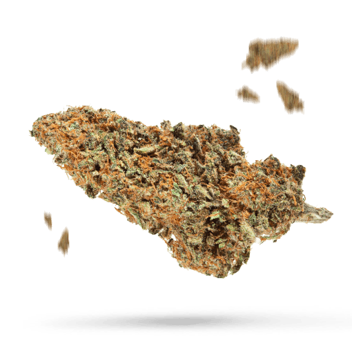 FPOG - Cannabissorte
