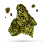 Fruit Crusher - Cannabissorte