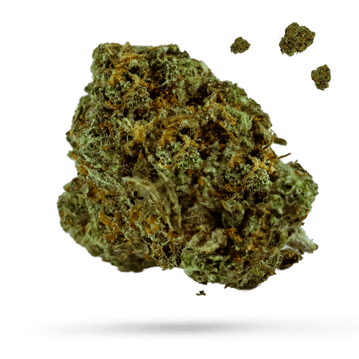 Fruit Loop OG - Cannabissorte