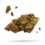 Golden Nugget - Cannabissorte