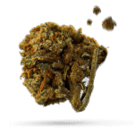 Gorilla Kush - Cannabissorte