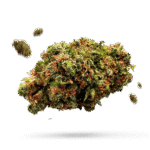 Gorilla Zkittlez - Cannabissorte