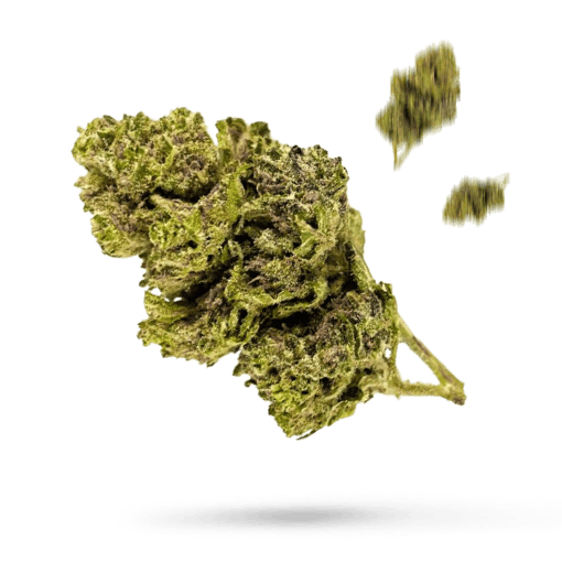 Grape Ape - Cannabissorte