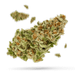 Hulkberry - Cannabissorte