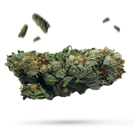 Kong - Cannabissorte