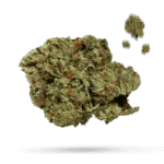 Mac 1 - Cannabissorte