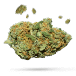 Mandarin Cookies - Cannabissorte