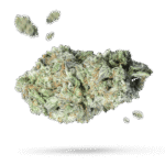Mandarin Dreams - Cannabissorte