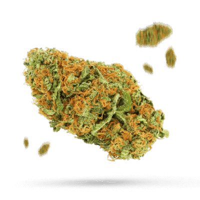Mango Kush - Cannabissorte