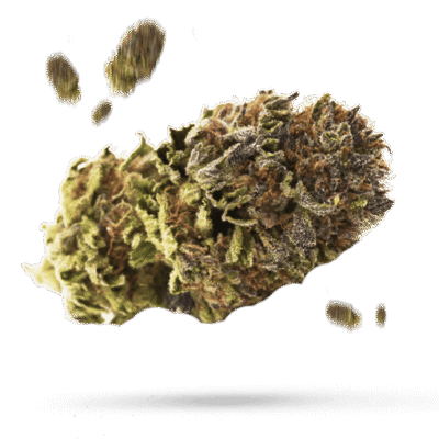 Northern Lights #5 - Cannabissorte