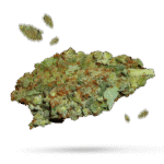 Orange Romulan - Cannabissorte