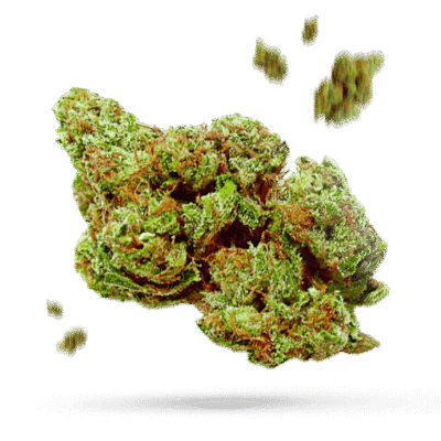 Pineapple Kush - Cannabissorte