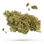 Pineapple Muffin - Cannabissorte