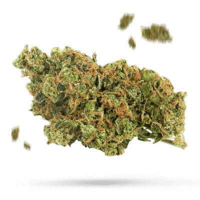 Pineapple Muffin - Cannabissorte
