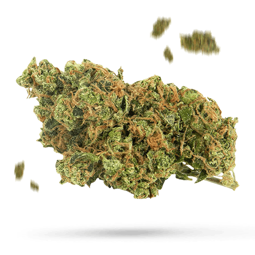 Pineapple Muffin - Cannabissorte
