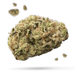 Pink Mango - Cannabissorte