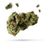 Snow Ryder - Cannabissorte