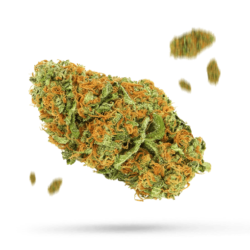 Sour Cream - Cannabissorte