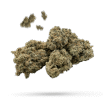 Sour Diesel - Cannabissorte
