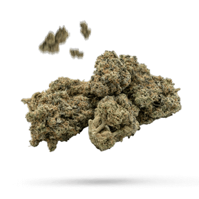 Sour Diesel - Cannabissorte