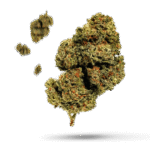 Sour Gorilla - Cannabissorte