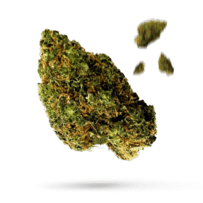 Strawberry Cheesecake - Cannabissorte