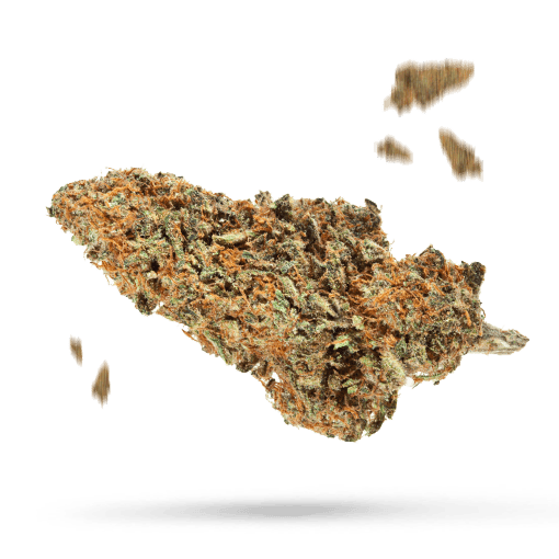 Strawberry Guava - Cannabissorte