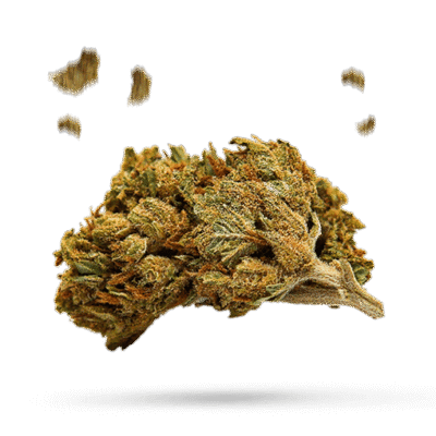 Sundae Driver - Cannabissorte