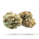 Super Lemon Haze - Cannabissorte