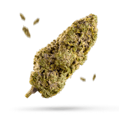 Tangerine - Cannabissorte