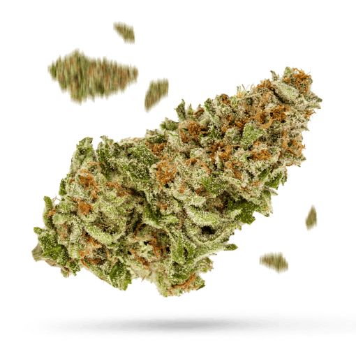 Tropicana Cookies - Cannabissorte