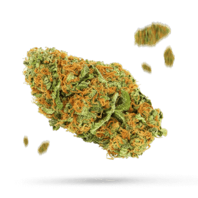 Avi - Cannabissorte