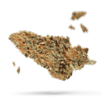 Cactus Jack - Cannabissorte