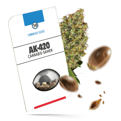 AK-420 Samen – Feminisiert – Sensi Seeds