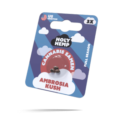 Ambrosia Kush Samen - Feminisiert - HappyBuds