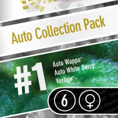 Auto Collection Pack 1 - Alchimia