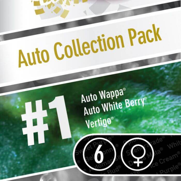 Auto Collection Pack 1 - Alchimia