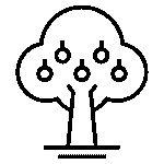Baumfrucht