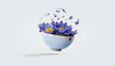 Blauer Lotus - Produktkategorie