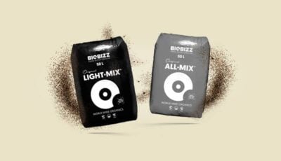 Cannabis Erde - Produktkategorie
