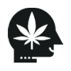 Cannabis Wirkung