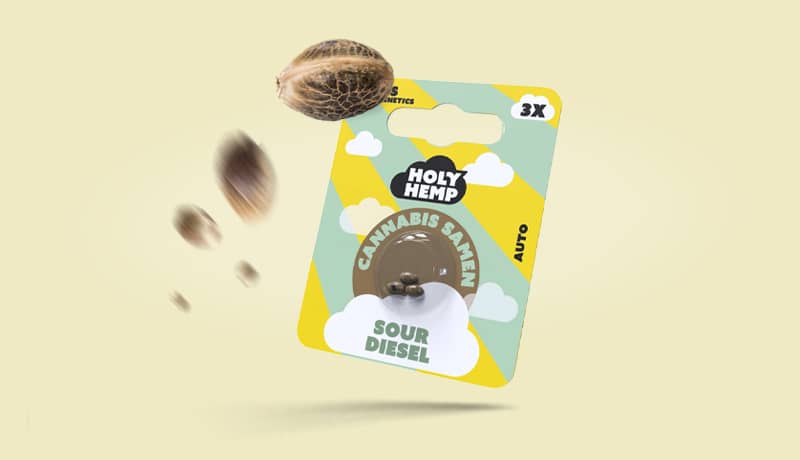 CBD Samen - Produktkategorie