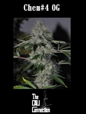 Chem4 OG - Alchimia