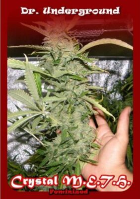 Crystal M.E.T.H. - Alchimia